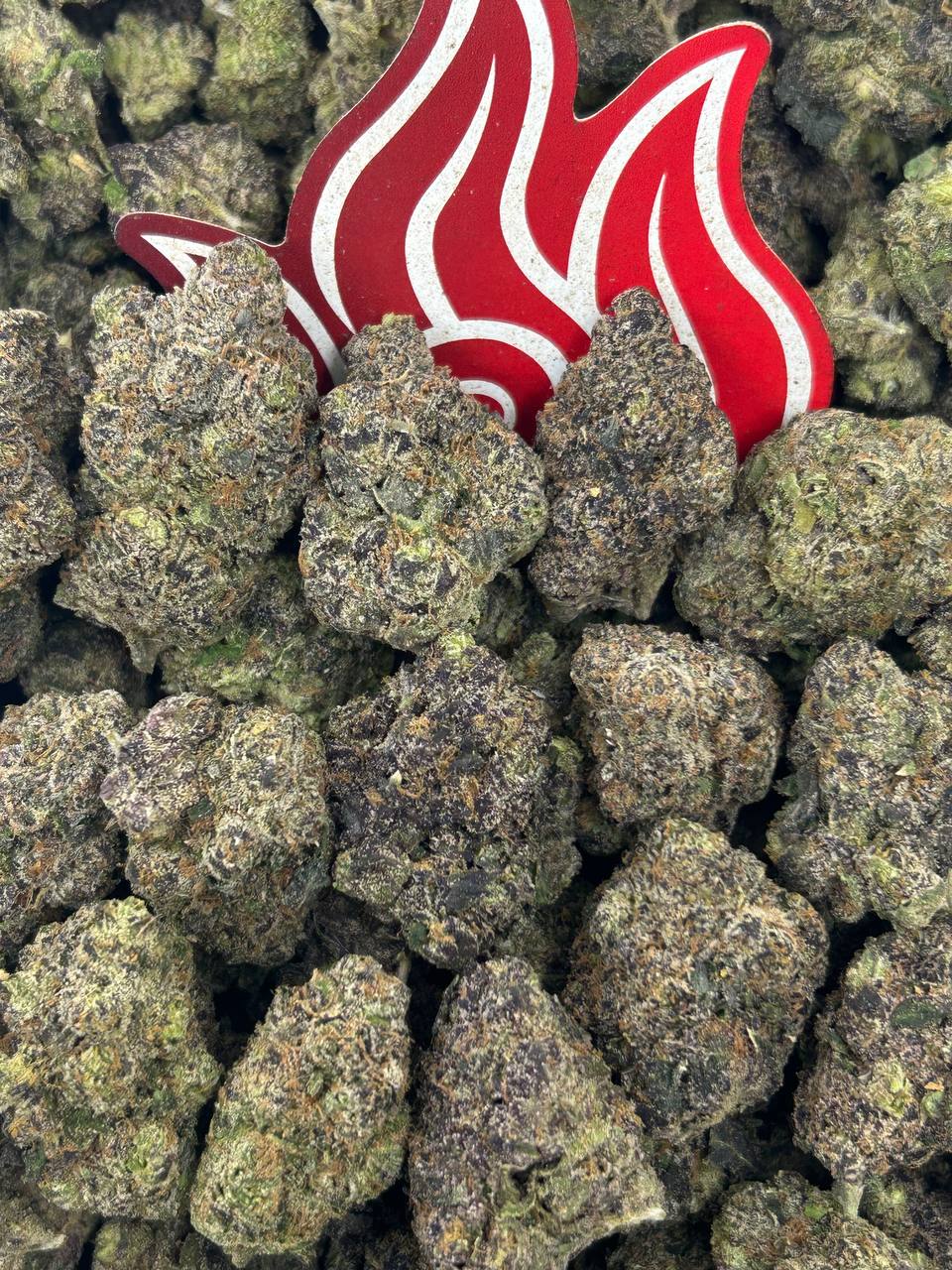 (#B-CM009) Grape Soda 🍇🥤