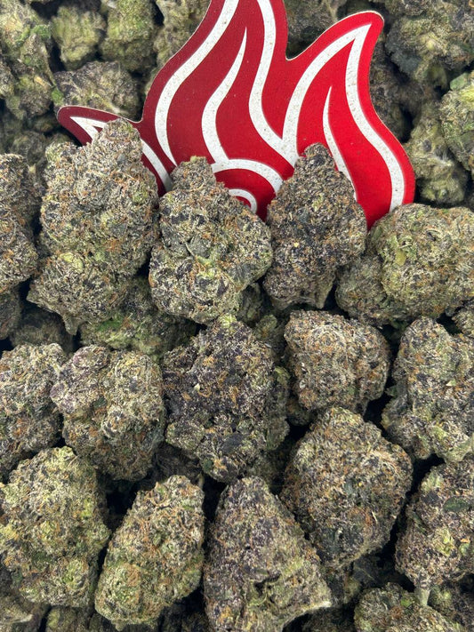 (#B-CM009) Grape Soda 🍇🥤