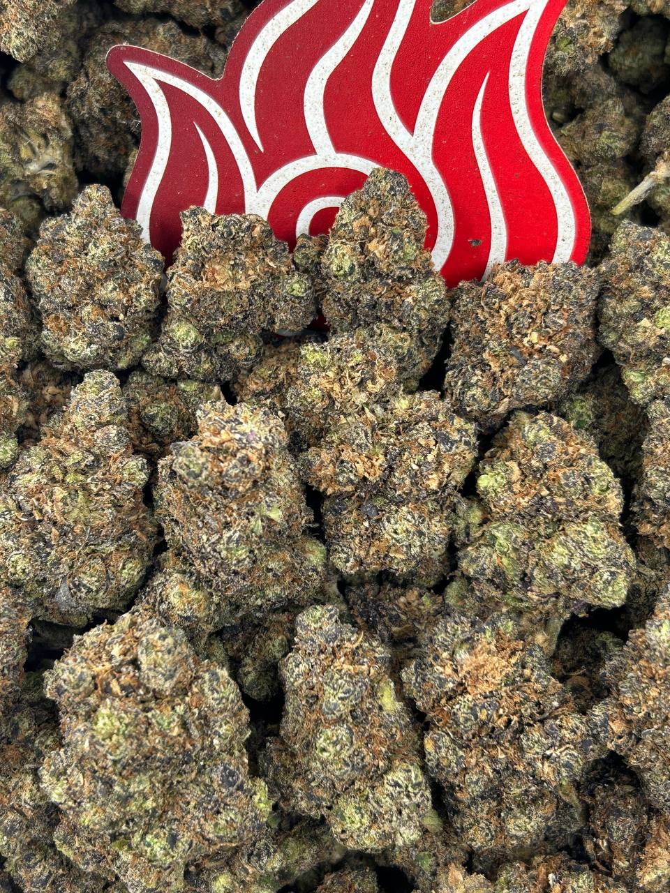 (#B-EA004) Raspberry Pie 🥧