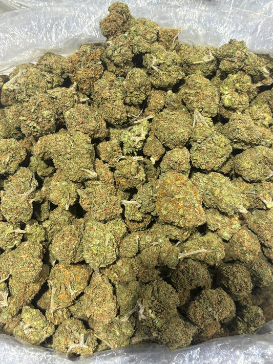 (#B-EB016) Lemon Cherry Gelato 🍋🍒