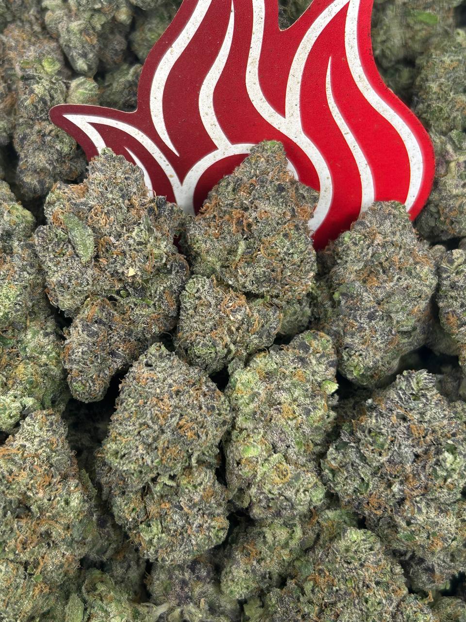 (#N-EA815) Berry Bombz 🫐