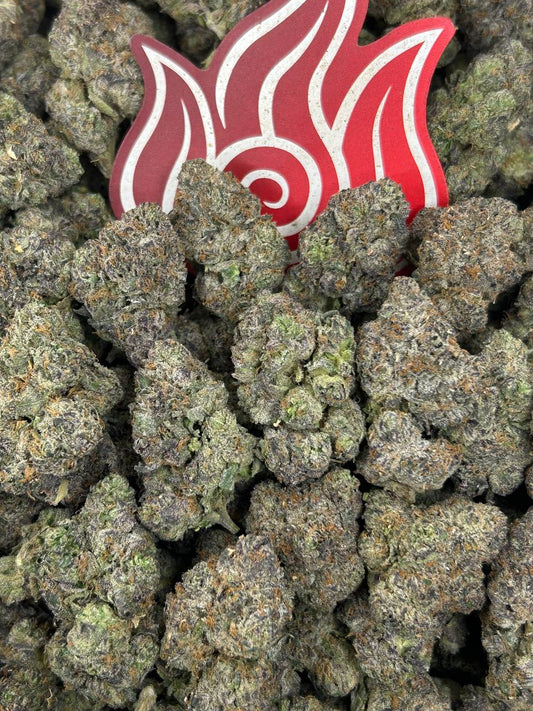 (#N-CM1303) Peanut Butter Gelato 🥜