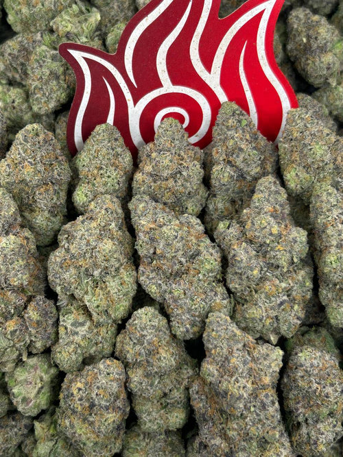 (#N-EA811) Vanilla Gruntz 🍦