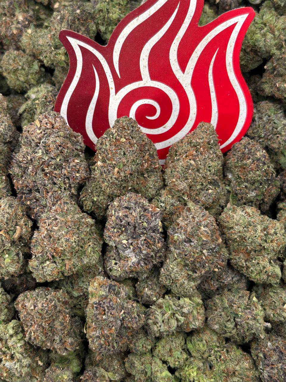 (#N-EA809) Strawberry Gusherz 🍓