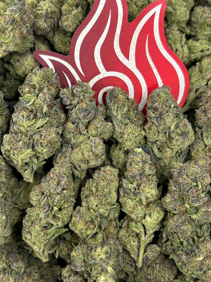 (#N-EB281) Gusherz 🧃
