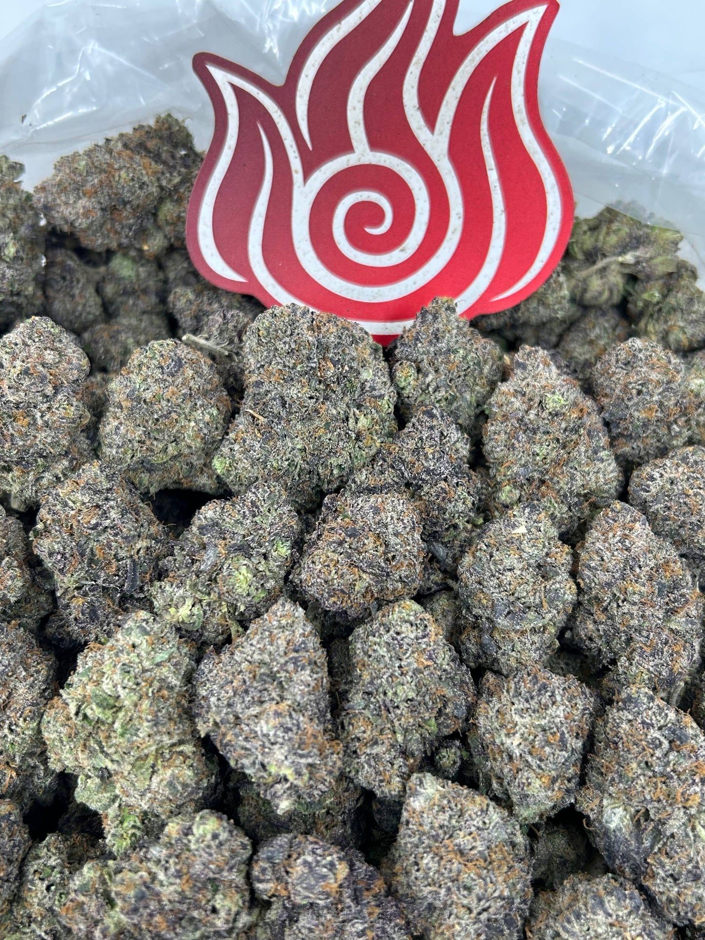 (#N-CM1329) Starburst Creamiscle 🍦