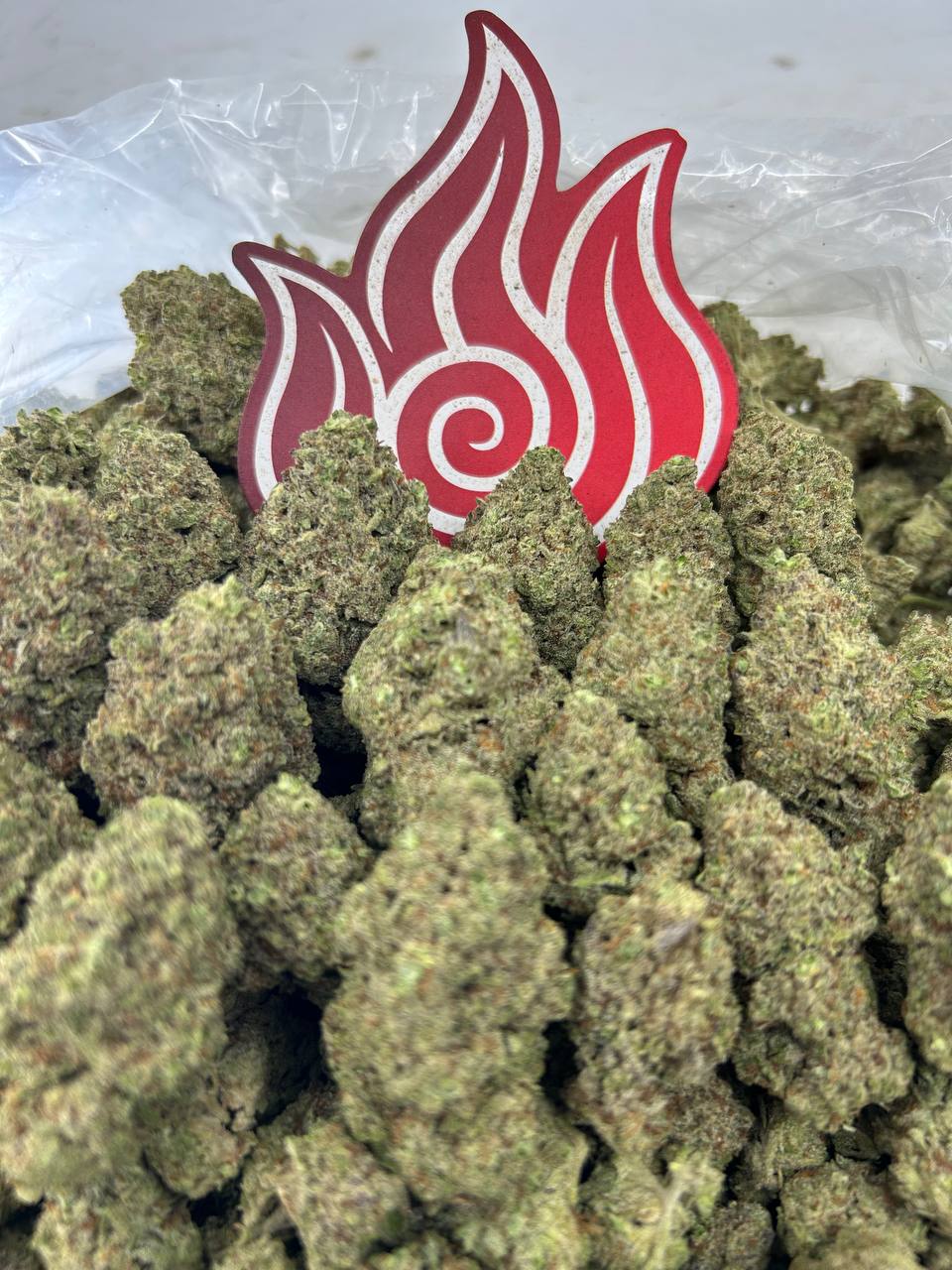 (#N-EB304) Bean Blast 🍬