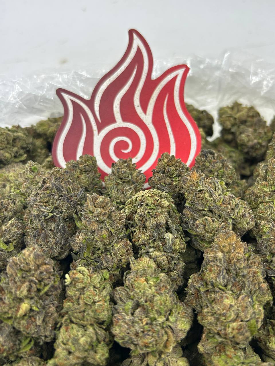 (#N-EB308) Purple Drop 🍇
