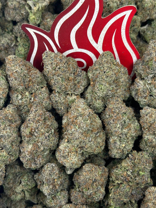(#N-CM1150) Cherrylato Faygo 🍒