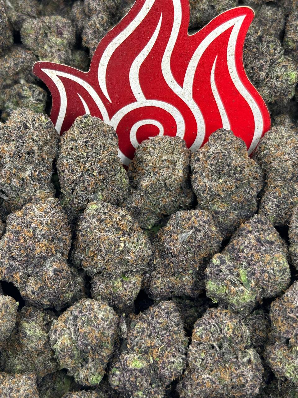 (#N-CH345) Lemon Cherry Zlurpee 🍋