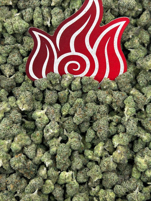 (#N-ECS329) Gelato Smalls 🍨