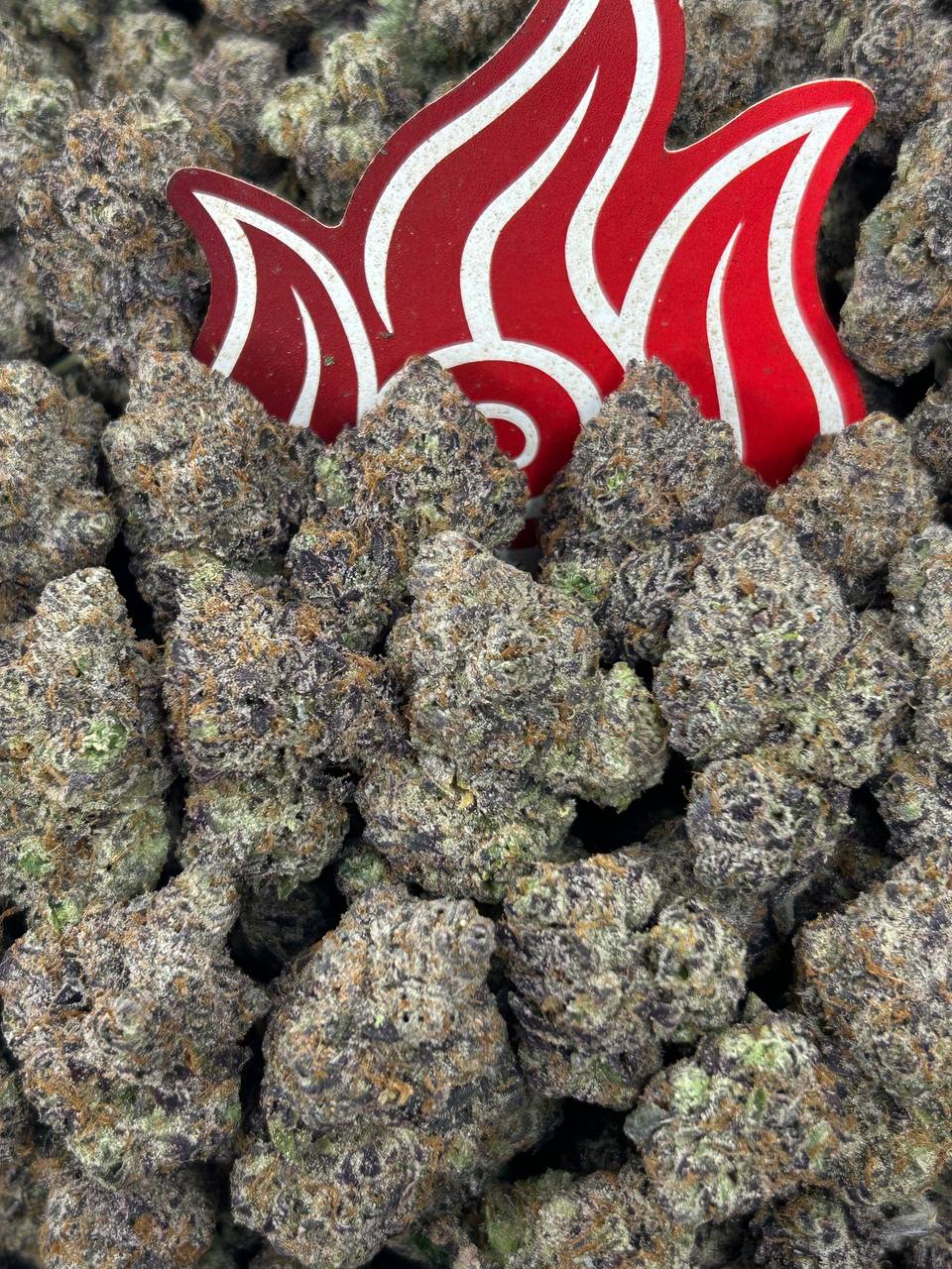 (#N-CH349) Strawberry Milkshake 🍓