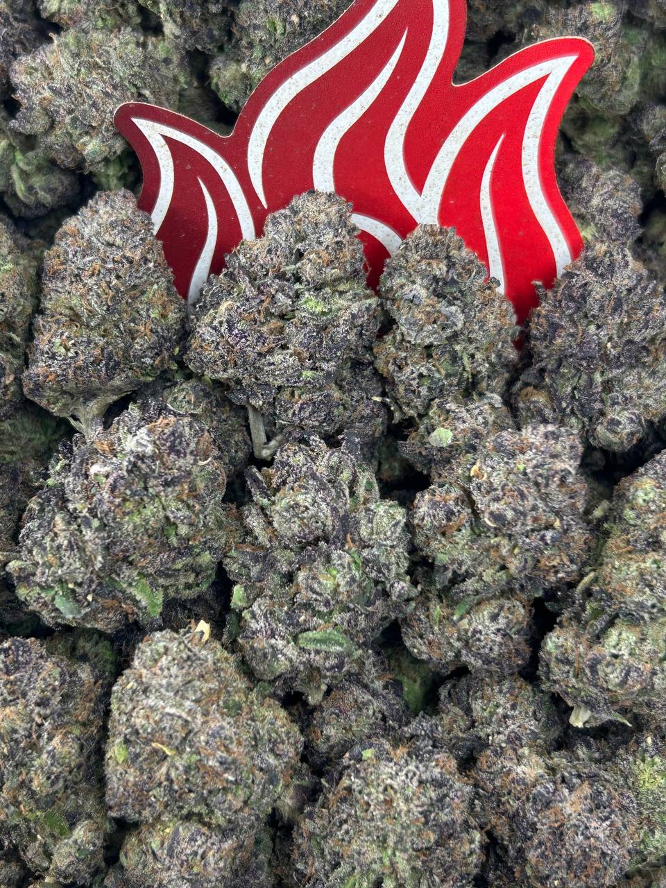 (#N-CM1169) Grape Blast 🍇
