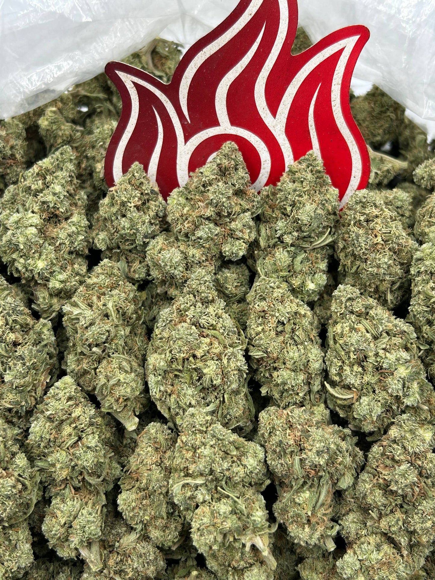 (#B-EC013) Zour Jetfuel ⛽️