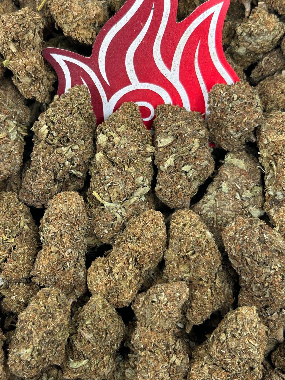 (#B-EC015) Lemon Kush 🍋
