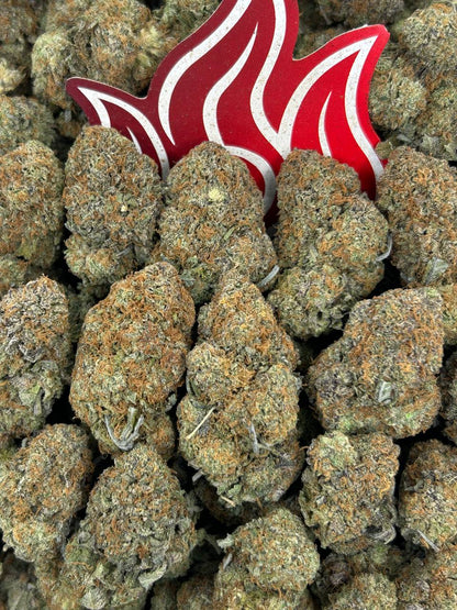 (#B-EA047) Bubba Gum 🫧