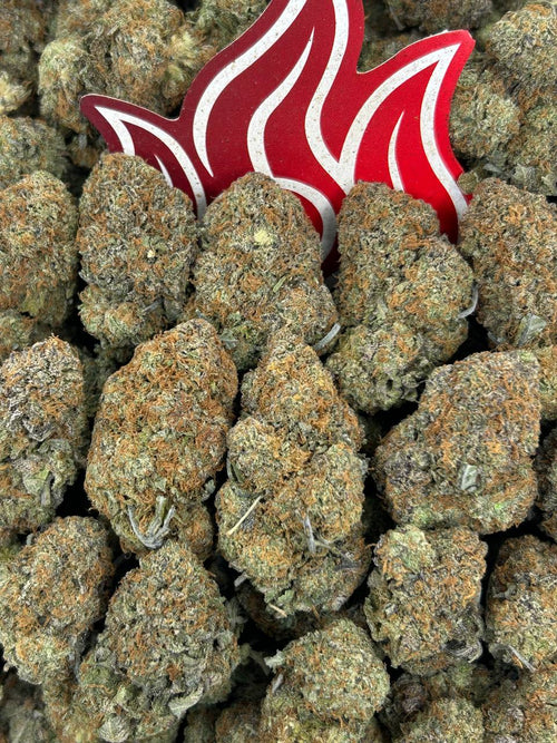 (#B-EA047) Bubba Gum 🫧