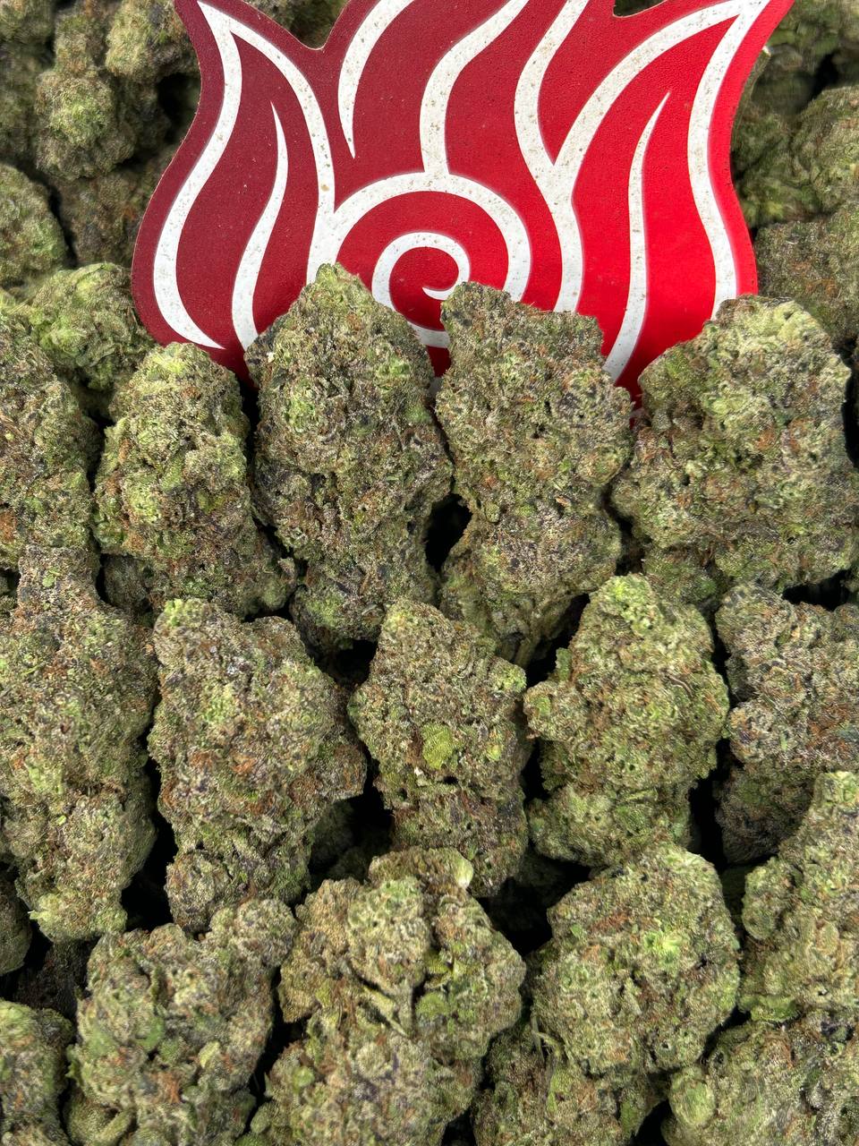 (#N-EB324) Purple Pop Rockz 💜