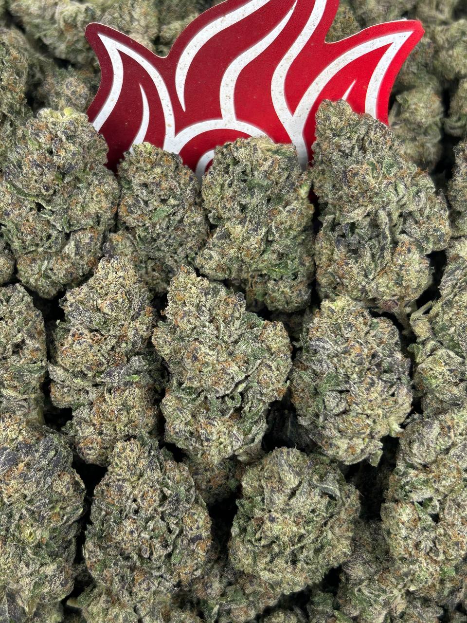 (#N-EB329) Banana Sundae 🍌
