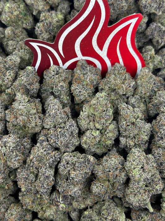 (#N-CH388) Jet Fuel Gelato ⛽️