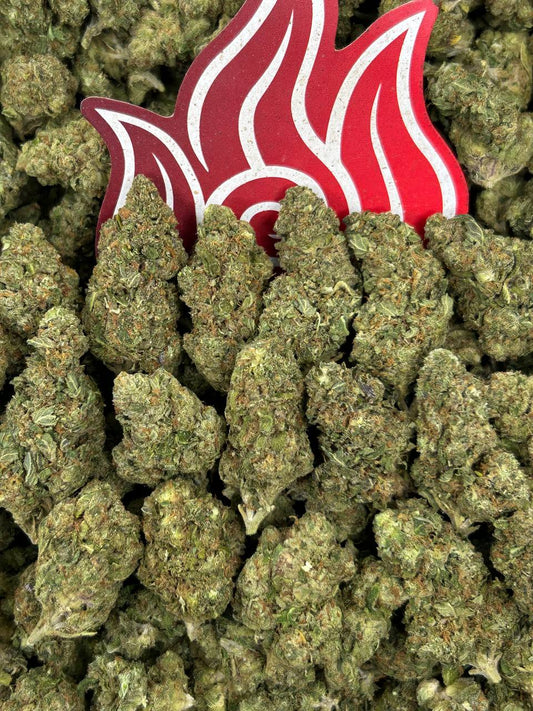 (#B-EC038) Runtz Fuel ⛽️