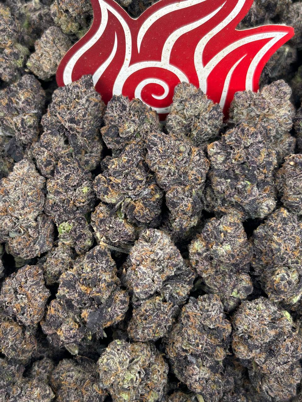 (#N-CM1426) Purple Mochi 💜