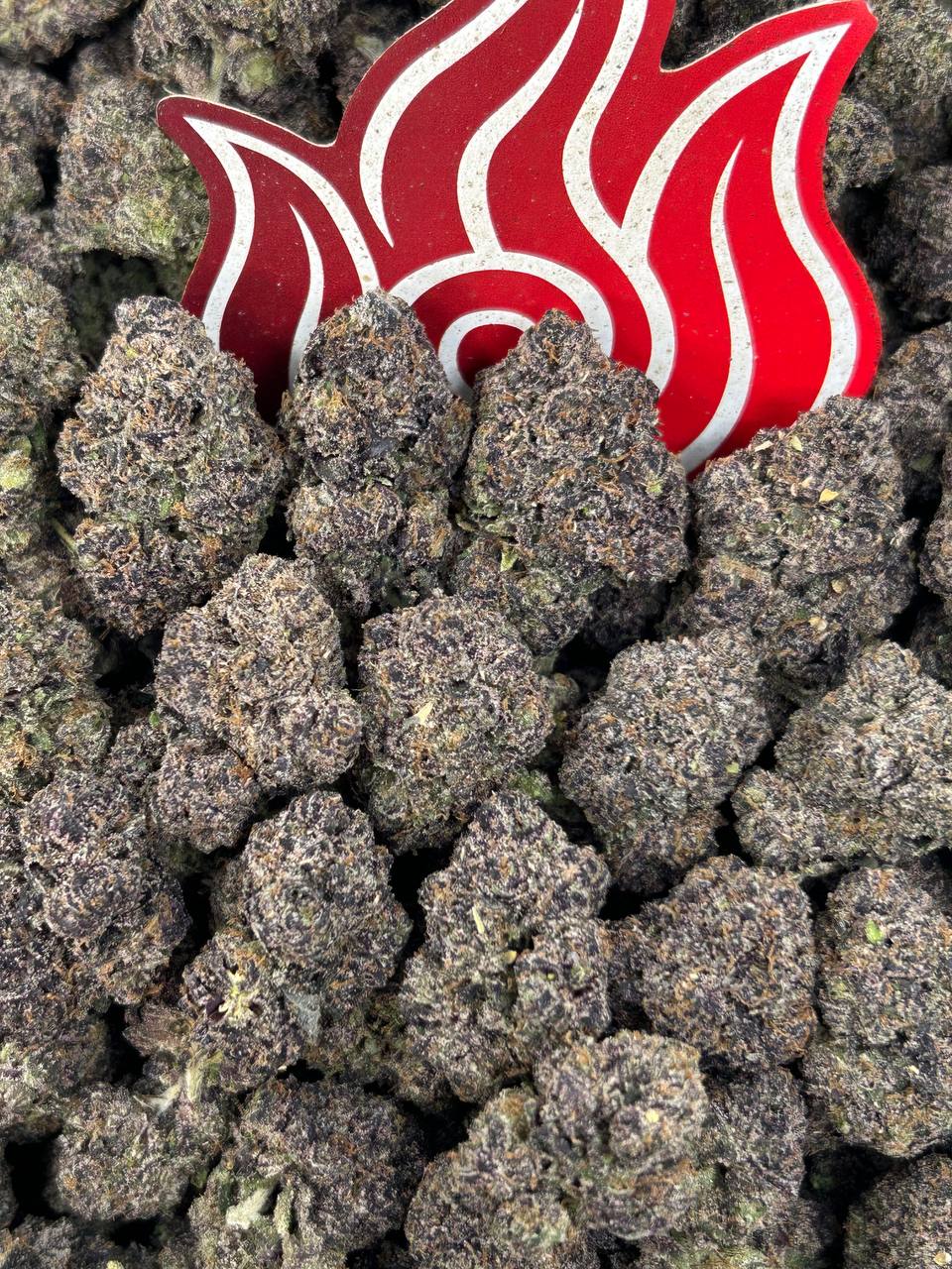 (#N-CH392) Bubblegum Diesel ⛽️
