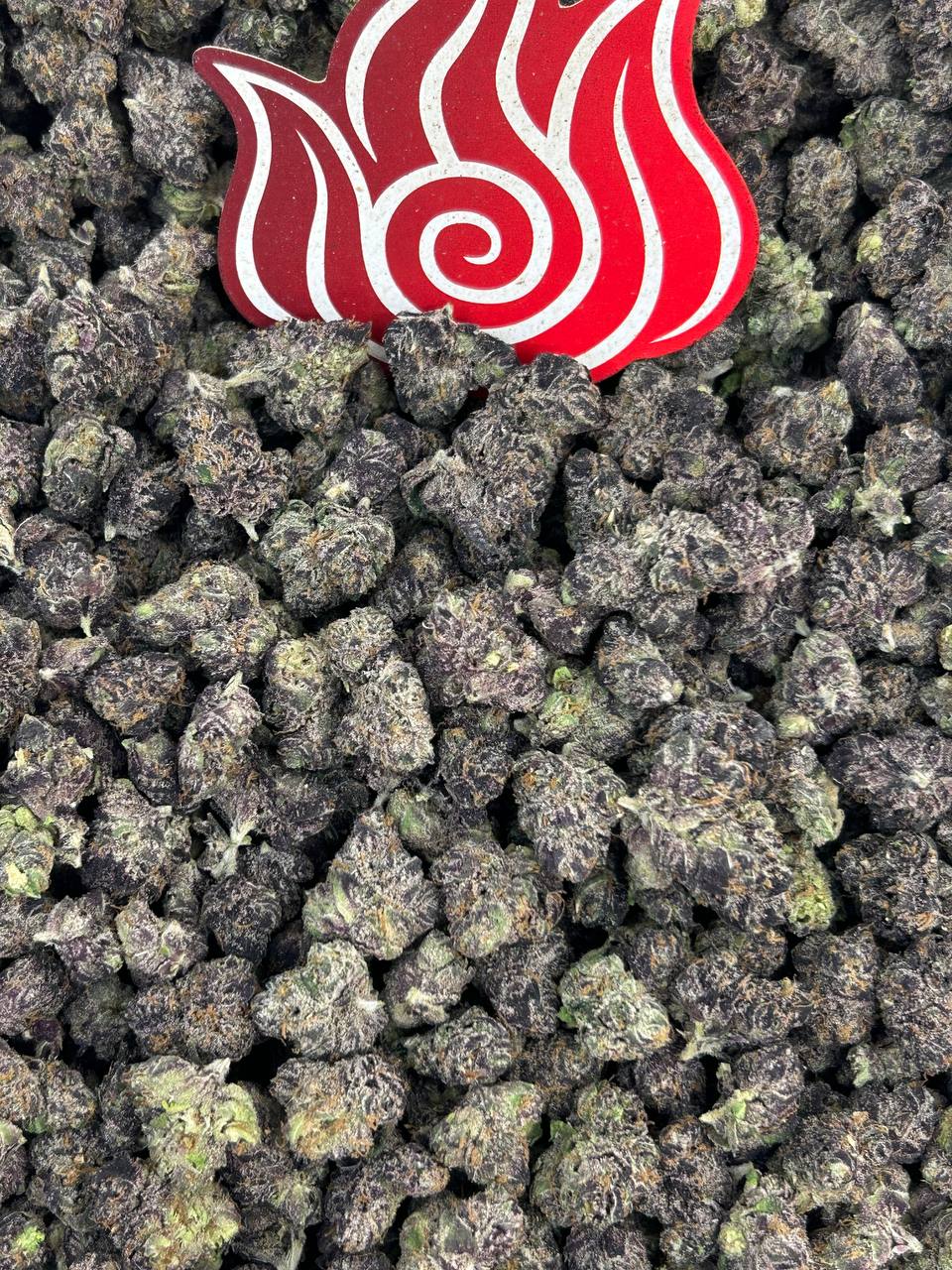 (#N-INS031) Zkittlez Mediums 🌈