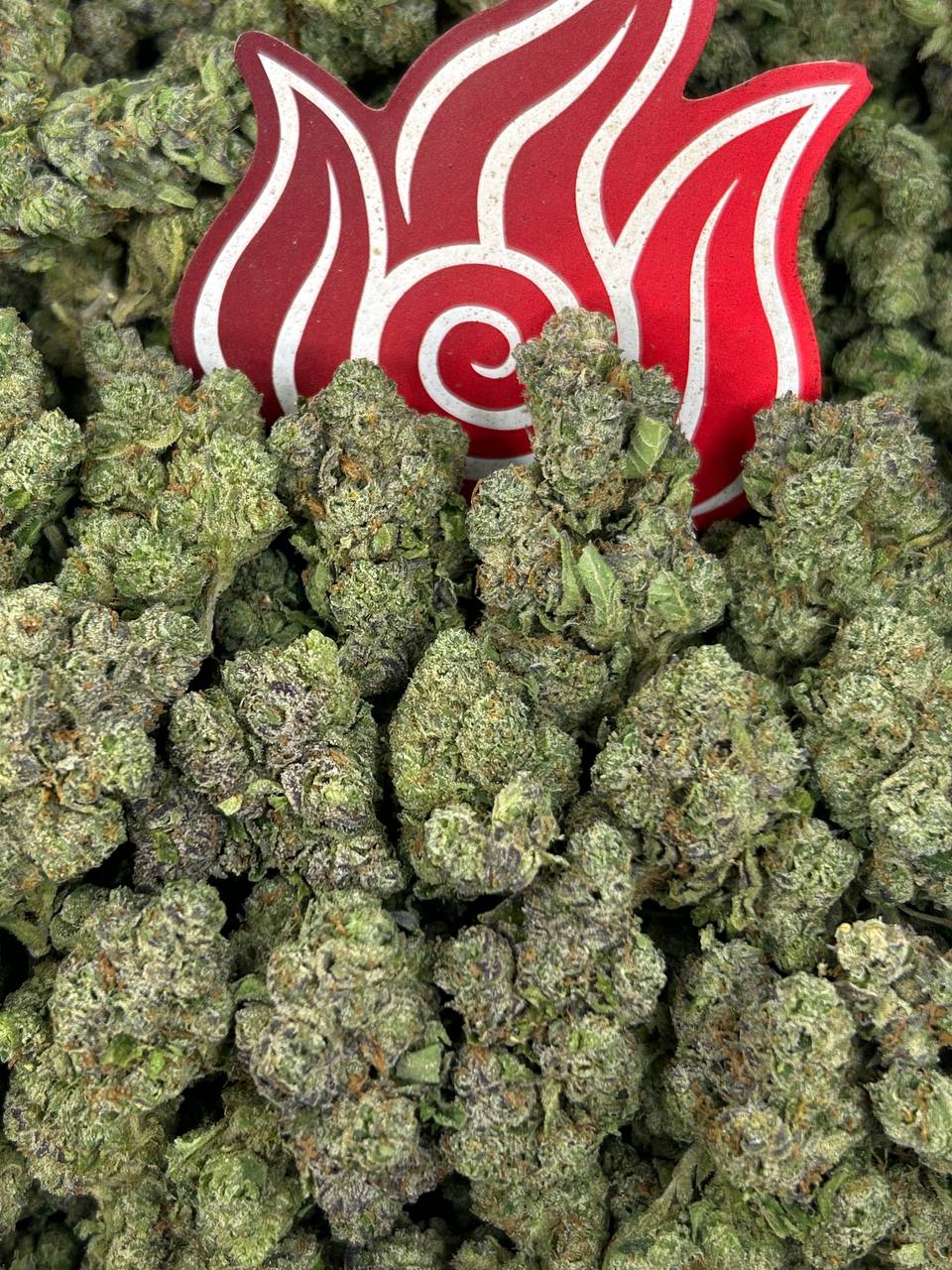 (#N-EA940) Gorilla Gas ⛽️