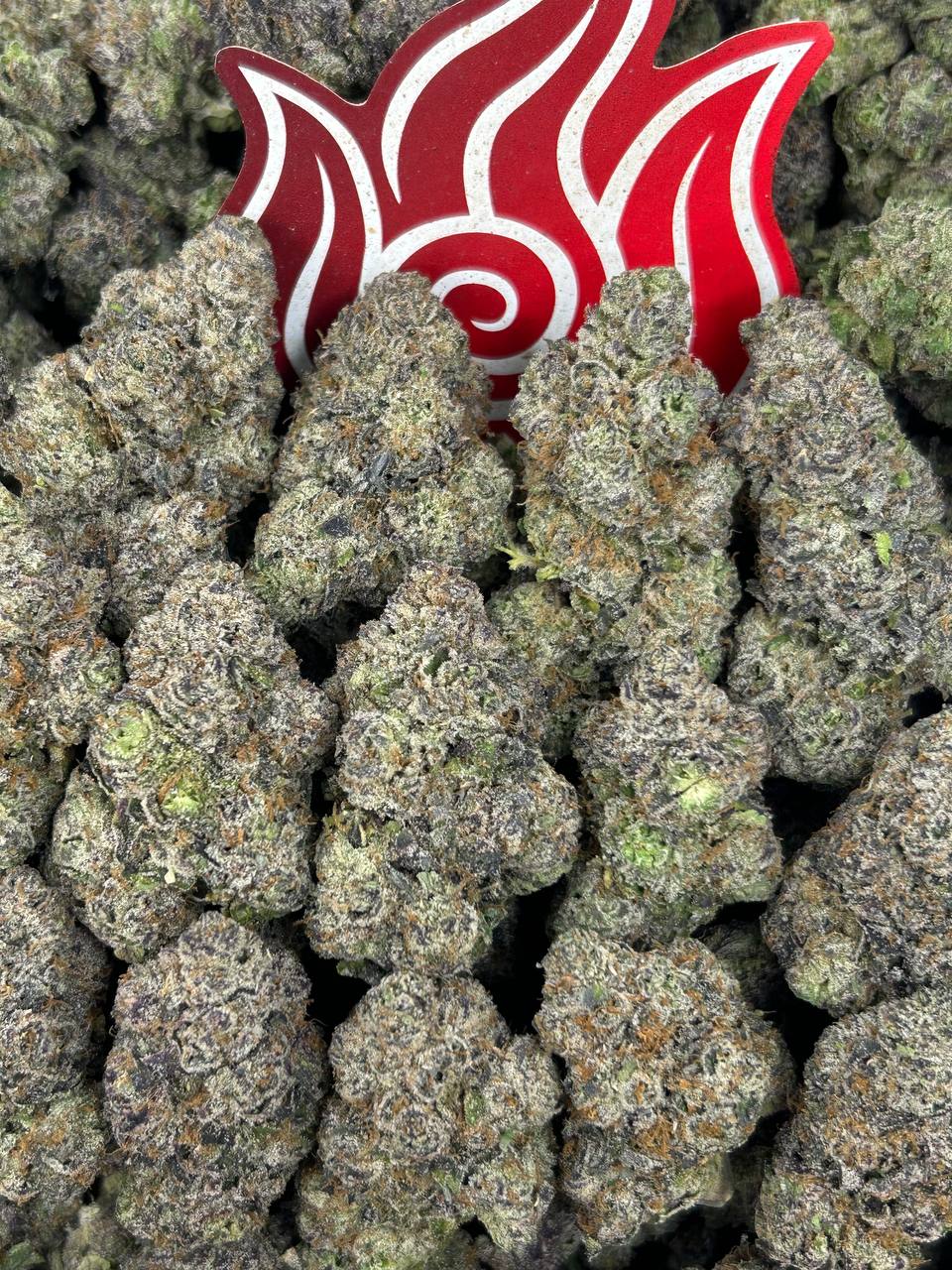 (#N-CM1433) Mochi Zkittlez 🌈