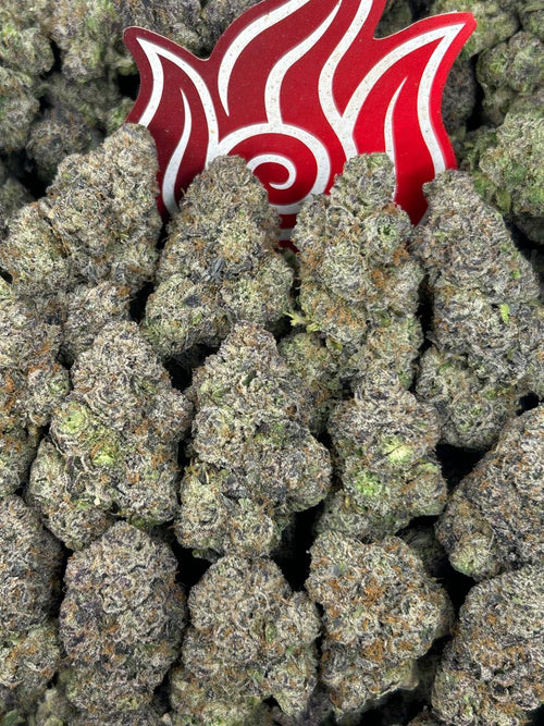 (#N-CM1433) Mochi Zkittlez 🌈