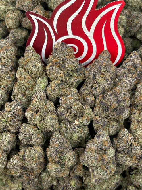 (#N-EA953) Gumbo Diesel ⛽️