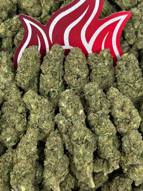 (#B-EC050) Pineapple Smash 🍍