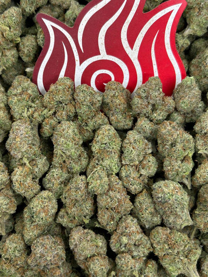 (#N-EB335) Gumdrop Mediums 🍬