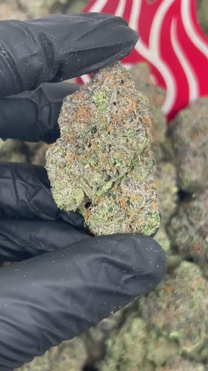 (#N-EA815) Berry Bombz 🫐