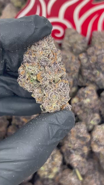(#N-CM1426) Purple Mochi 💜