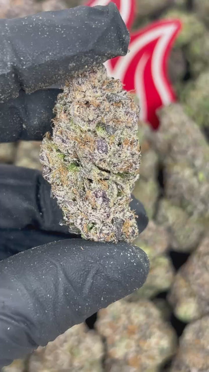 (#N-CM1433) Mochi Zkittlez 🌈