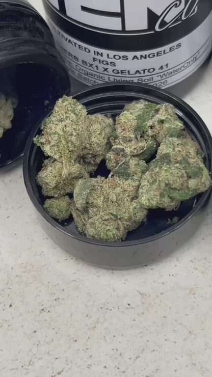 (#N-M049) The TenCo 7g Jar ☠️