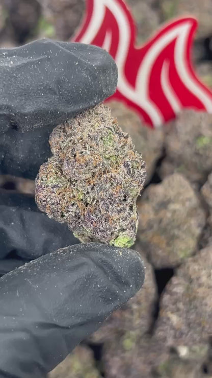 (#N-CH346) Blueberry Gusherz 🫐