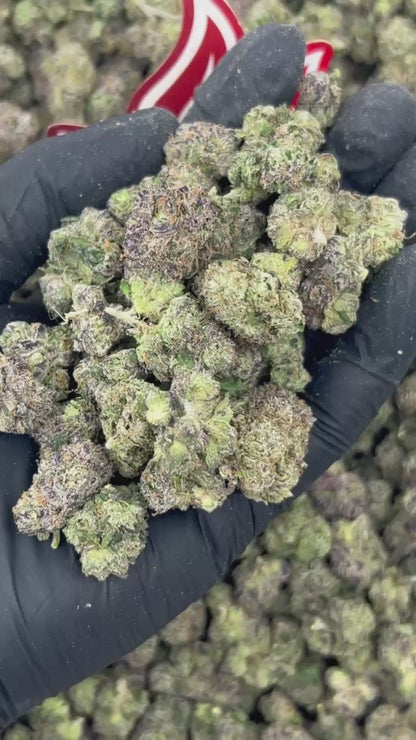 (#N-ECS322) Mochi Mediums 🍬