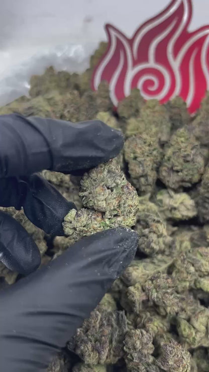 (#N-EB305) Grape Skunk 🍇