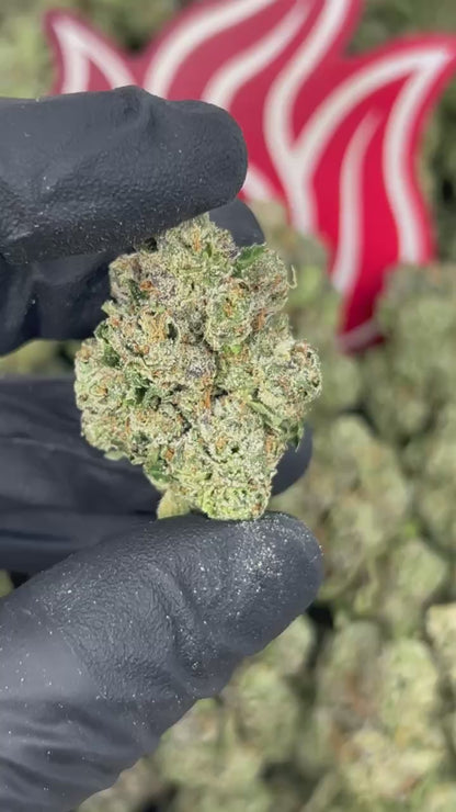 (#N-EA940) Gorilla Gas ⛽️
