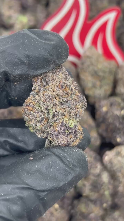 (#N-CH344) Mango Mochiz 🥭