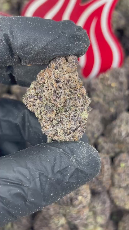 (#N-CH392) Bubblegum Diesel ⛽️