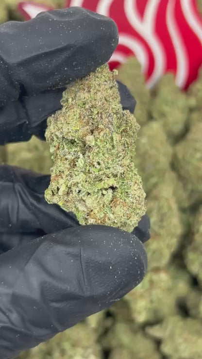 (#N-EB282) Jelly Breath 🍇