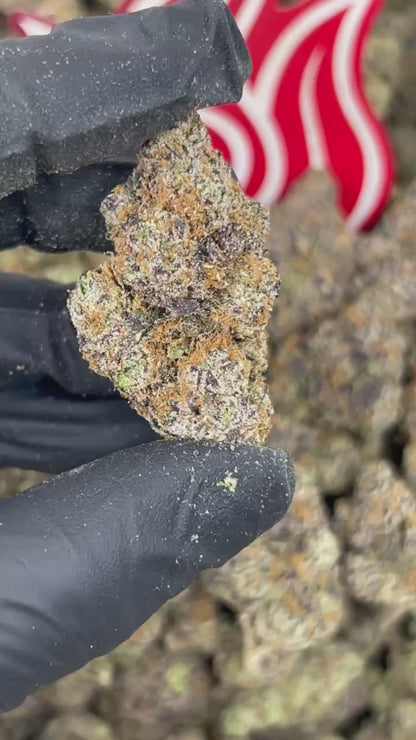 (#N-EA953) Gumbo Diesel ⛽️