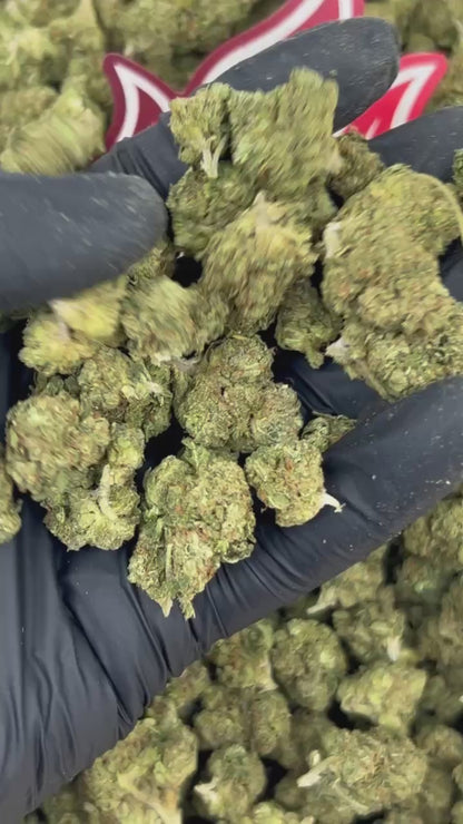 (#B-EC031) Apple Gush 🍏