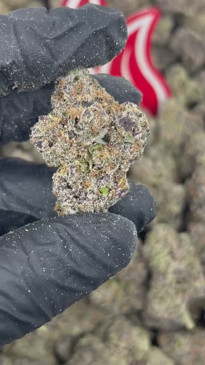 (#N-CH388) Jet Fuel Gelato ⛽️