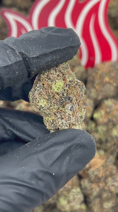(#B-EA004) Raspberry Pie 🥧