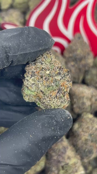 (#B-CM009) Grape Soda 🍇🥤